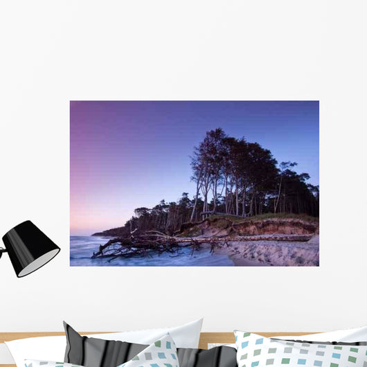 Night Beach Wall Decal