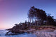 Night Beach Wall Decal
