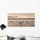 Lake Of The Woods, Ontario, Canada Wall Mural