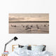 Lake Of The Woods, Ontario, Canada Wall Mural