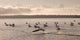 Lake Of The Woods, Ontario, Canada Wall Mural
