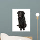 Cross-Breed Between a Labrador and Australian Shepherd Wall Decal