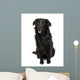 Cross-Breed Between a Labrador and Australian Shepherd Wall Decal