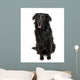 Cross-Breed Between a Labrador and Australian Shepherd Wall Decal