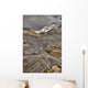 Mount Athabasca Wall Mural
