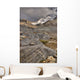 Mount Athabasca Wall Mural