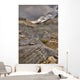 Mount Athabasca Wall Mural