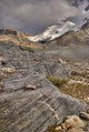 Mount Athabasca Wall Mural