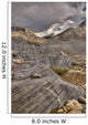 Mount Athabasca Wall Mural