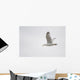 Lake Of The Woods, Ontario, Canada Wall Mural