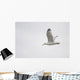 Lake Of The Woods, Ontario, Canada Wall Mural
