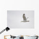 Lake Of The Woods, Ontario, Canada Wall Mural