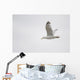 Lake Of The Woods, Ontario, Canada Wall Mural