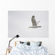 Lake Of The Woods, Ontario, Canada Wall Mural