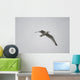 Lake Of The Woods, Ontario, Canada Wall Mural