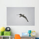 Lake Of The Woods, Ontario, Canada Wall Mural