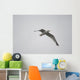 Lake Of The Woods, Ontario, Canada Wall Mural