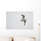 Lake Of The Woods, Ontario, Canada Wall Mural