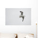 Lake Of The Woods, Ontario, Canada Wall Mural