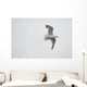 Lake Of The Woods, Ontario, Canada Wall Mural