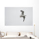 Lake Of The Woods, Ontario, Canada Wall Mural