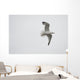 Lake Of The Woods, Ontario, Canada Wall Mural