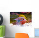 Flowerhorn Cichlid fish Wall Mural