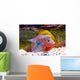 Flowerhorn Cichlid fish Wall Mural