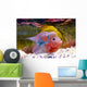 Flowerhorn Cichlid fish Wall Mural