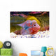 Flowerhorn Cichlid fish Wall Mural