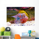 Flowerhorn Cichlid fish Wall Mural