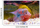 Flowerhorn Cichlid fish Wall Mural