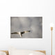 Lake Of The Woods, Ontario, Canada Wall Mural