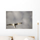 Lake Of The Woods, Ontario, Canada Wall Mural
