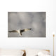 Lake Of The Woods, Ontario, Canada Wall Mural