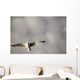 Lake Of The Woods, Ontario, Canada Wall Mural