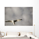 Lake Of The Woods, Ontario, Canada Wall Mural