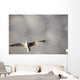 Lake Of The Woods, Ontario, Canada Wall Mural