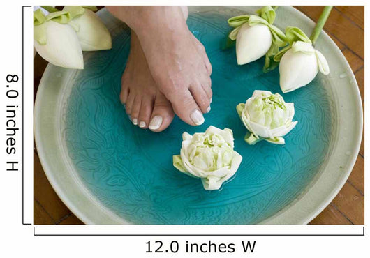 Lotus Flower Aromatherapy Spa for Feet 4 Wall Mural