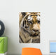 Tiger Wall Mural