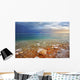 Tthe Dead Sea in Israel in a spring thunder-storm. Wall Mural