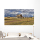 Remote Landscape With Mountains In Background Wall Mural