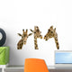 Three Giraffes Wall Decal