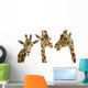 Three Giraffes Wall Decal