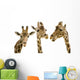 Three Giraffes Wall Decal