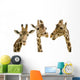 Three Giraffes Wall Decal