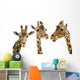 Three Giraffes Wall Decal