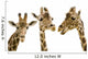 Three Giraffes Wall Decal