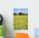 Farmhouse And Wheat Field, Calmar, Alberta, Canada Wall Mural