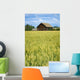 Farmhouse And Wheat Field, Calmar, Alberta, Canada Wall Mural
